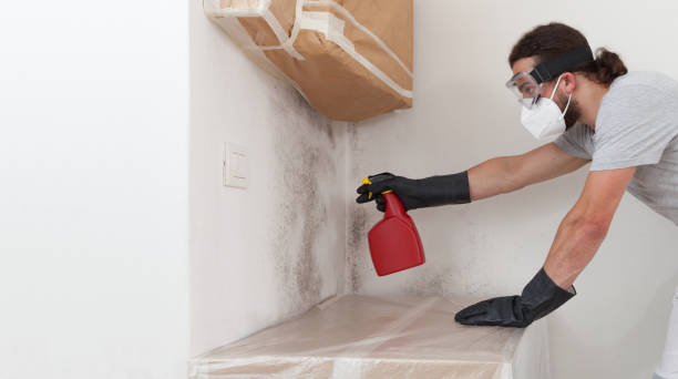 Professional Crawl Space Mold Remediation technician working in Greenville, NY